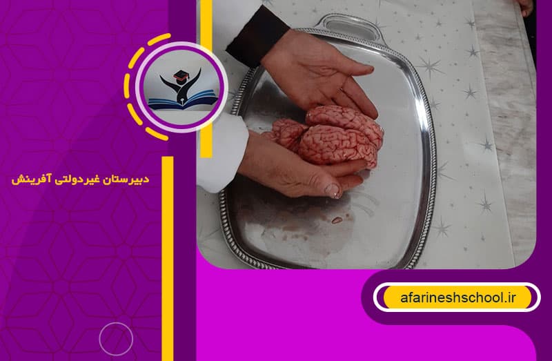 دبيرستان غيردولتي آفرينش